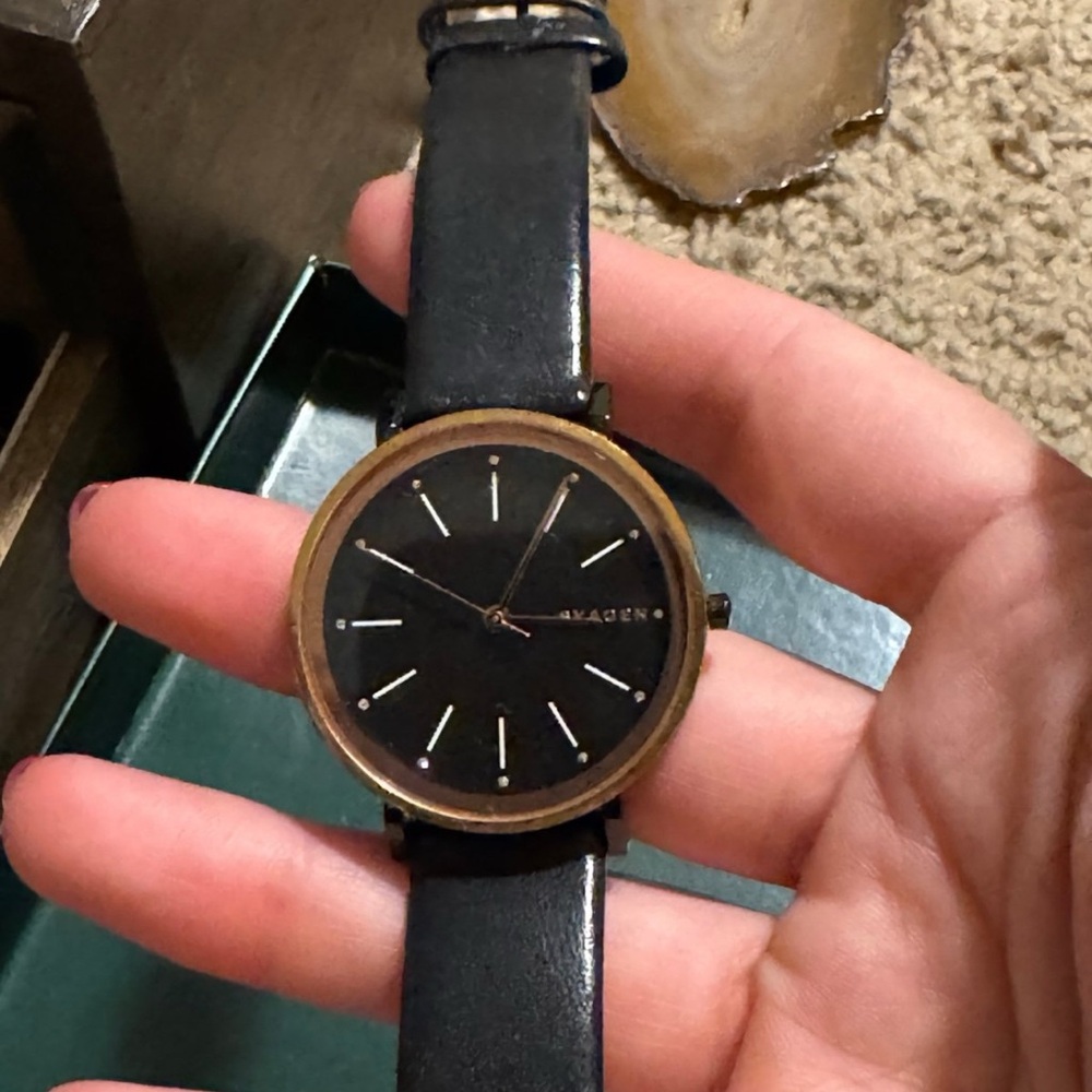 Black and Gold Skagen Watch
